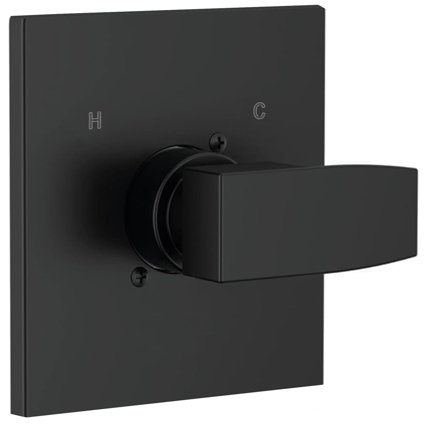 Shower Valve Trim Kit