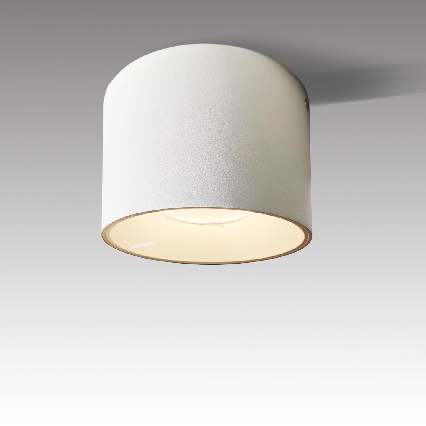 Dimmable Ceiling Spotlight