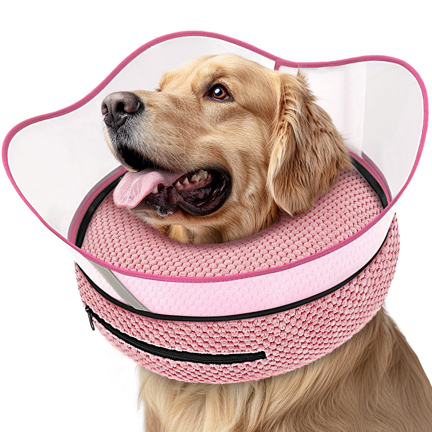 Inflatable Dog Cone