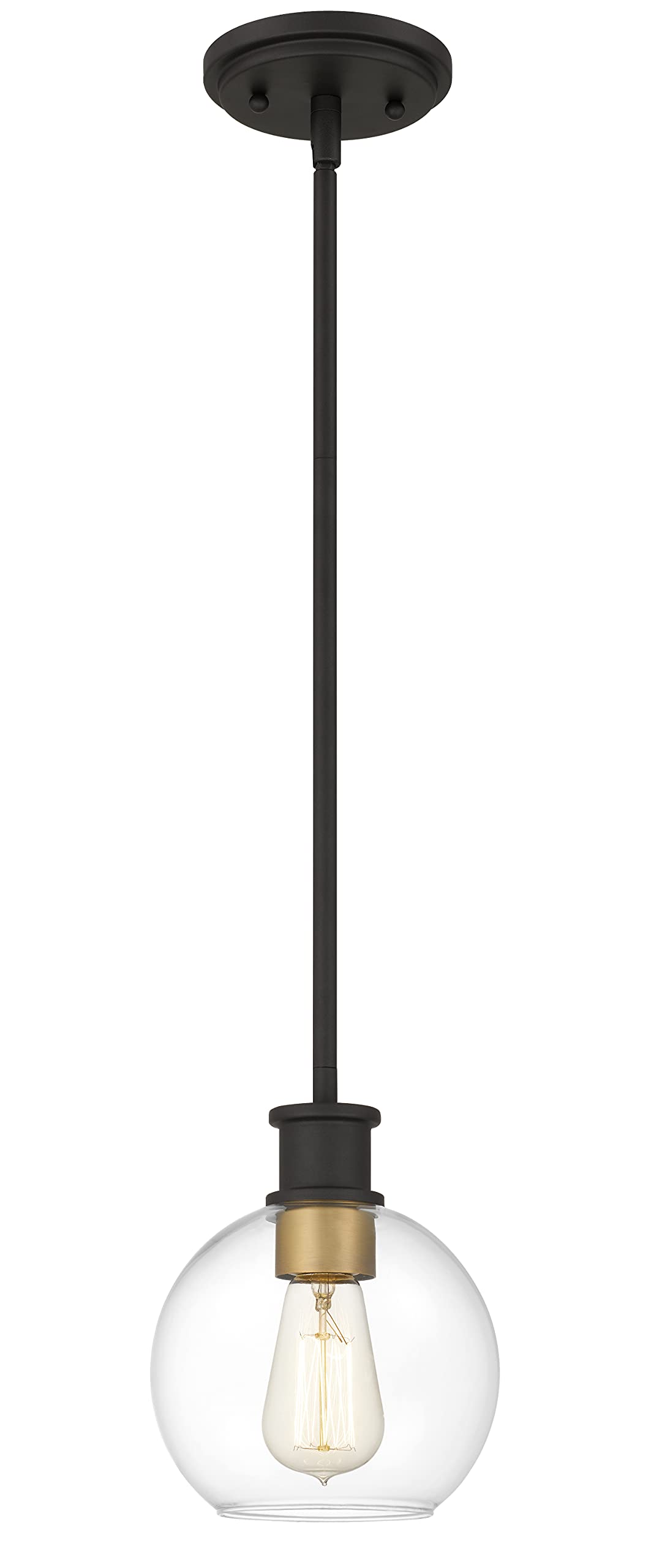 Black and Gold Pendant Light