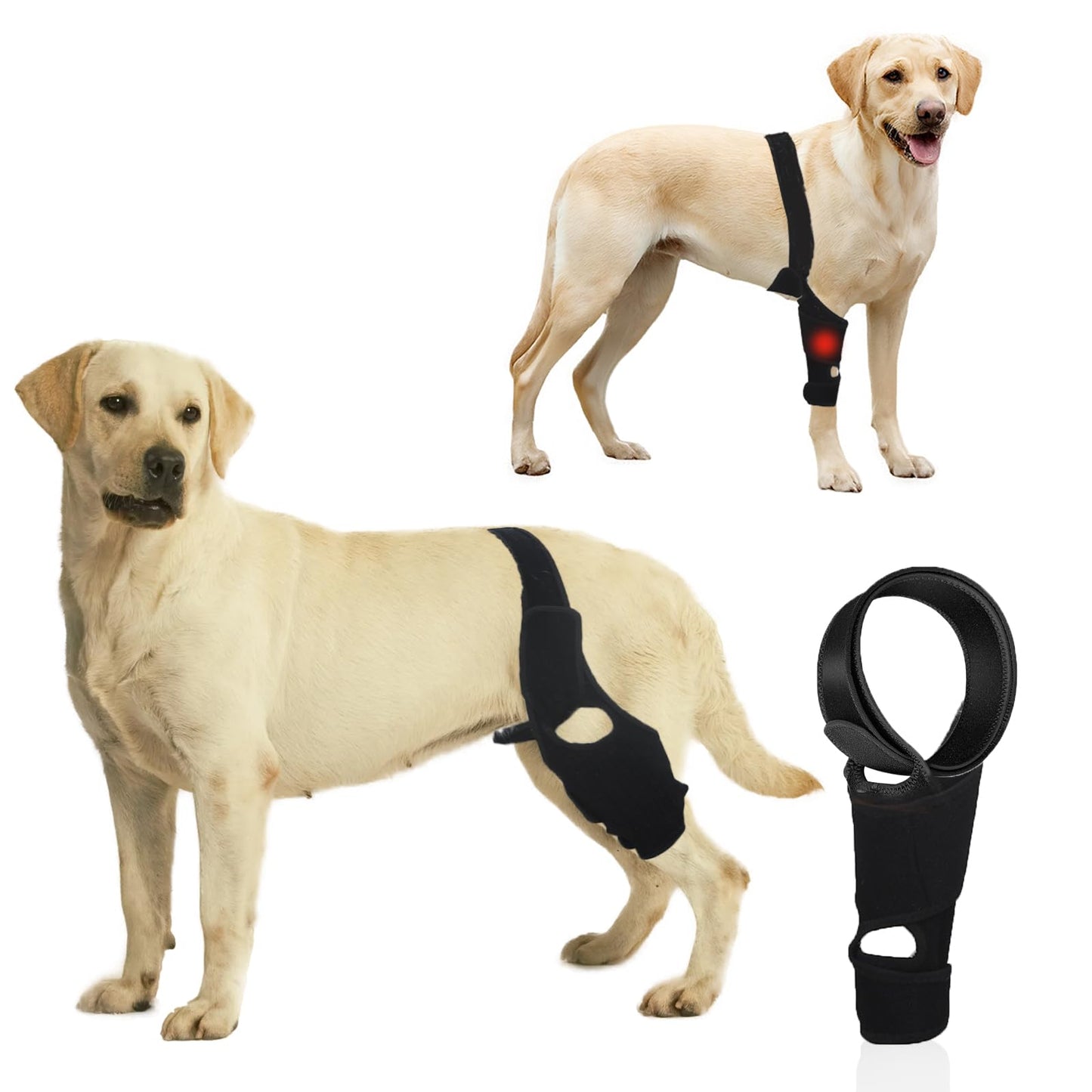 Dog Rear Leg Knee Brace