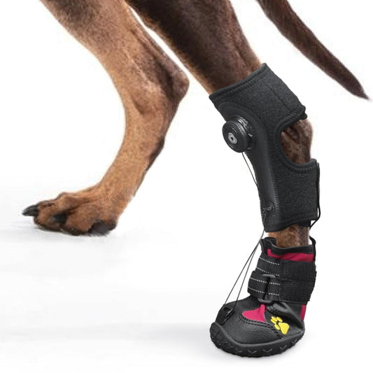 Drop Foot Brace with Reel for Dogs