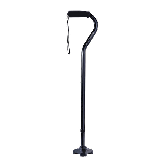 Walking Stick with T Handle