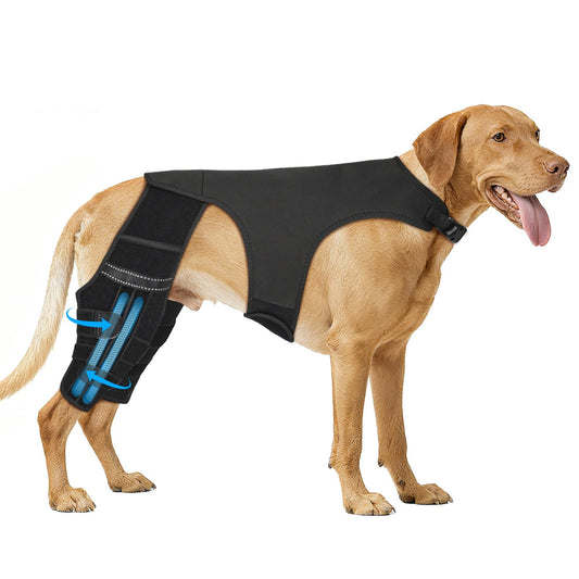 Marnonsis Dog Leg Braces For Back Leg, Adjustable Knee Brace For Torn Acl Hind Leg With 4 Stabilizers, Hip Support To Reduce Pain, Ligament Injuries & Luxating Patella, L