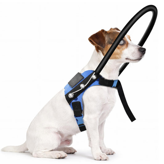 LetPetRun Blind Dog Halo Harness With Protective Collar, Adjustable Guiding Device For Visually Impaired Pets, Helping Visually Impaired Pets Move Safely And Confidently (9.5-13.5In) Slightly used. Was tried on but taken back off a few days later.
