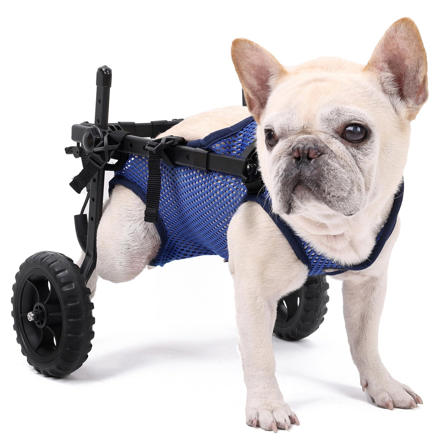 Dog Wheelchair For Back Legs, Dog Wheelchair Cart, Doggy/Cat Wheelchairs With Disabled Hind Legs Walking, Mobility Aids For Small Medium Pet Hind Limbs, Dogs Cart With Wheels, Light Weight, (S)