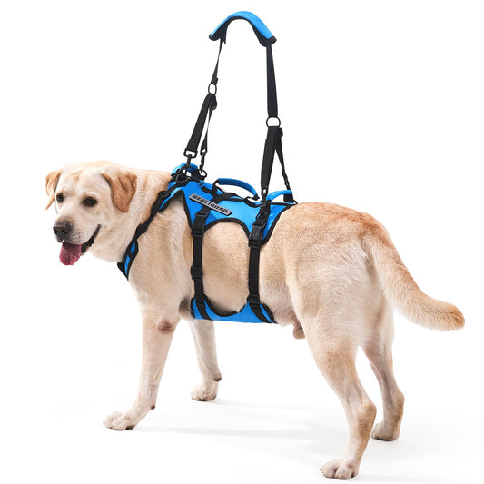 Lafoty Dog Lift Harness For Medium Dogs, Full Body Support Sling With 3 Handles And Shoulder Strap, Carrying Vest For Senior Dogs With Arthritis Or Joint Injuries, Stairs Assistance, Blue, Medium