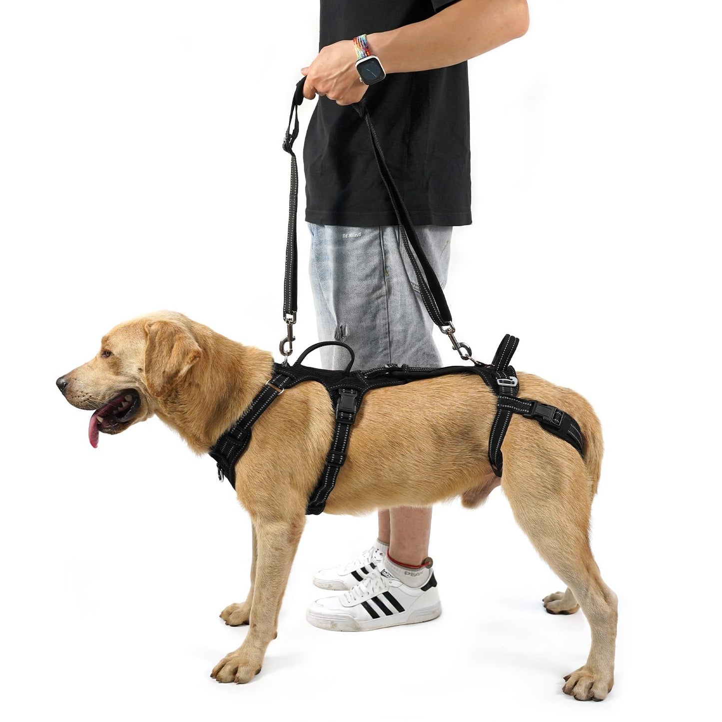 COODEO Mobility Dog Lift Harness, Support Sling & Walking Sling For Dogs, Pet Rear Leg Rehabilitation Support Vest, Dog Carrier For Senior Dogs With Joint Injuries, Arthritis, Up Stair (Black, L)
